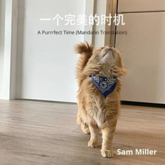 ¿¿¿¿¿¿¿, Brand New, Free shipping in the US