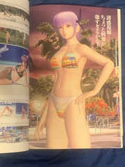 Dead or Alive Xtreme Beach Volleyball BEST SHOT Art book Japan book form JP