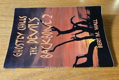 Ghostly Chills: The Devil’s Backbone 2 by Bert M. Wall (2001, Trade Softcover)