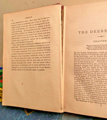The Deerslayer J. Fenimore 1897 Cooper Lupton Publishing 422 Pages