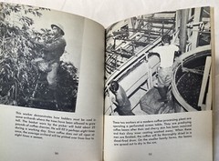 MEN AT WORK IN HAWAII Harry C. Rubicam HC 1960 ex-lib hardcover