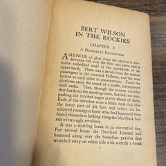 BERT WILSON In The Rockies by J.W. Duffield 1924 George Sully & Co HB