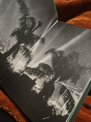 SIGNED The Seven Husbands of Evelyn Hugo DELUXE EDITION by Taylor Jenkins Reid