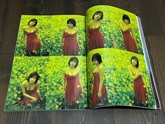 2004 1ST EDITION NOBUYOSHI ARAKI MONTHLY GEKKAN TAMAO SATO JAPANESE PHOTO BOOK