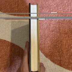 The Dispensable Man Hardcover Wolf Peter Rilla First Edition
