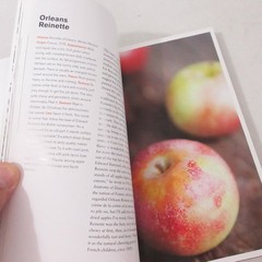 Apples of Uncommon Character Rowan Jacobsen 2014 Illustrated Cookbook Bloomsbury