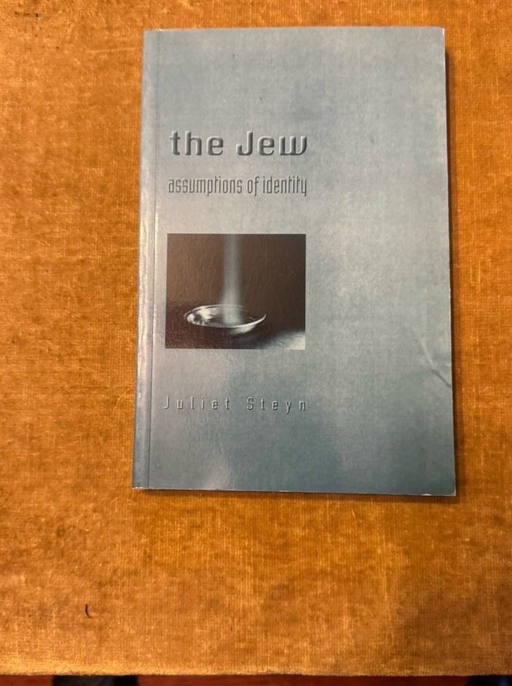 Jew : Assumptions of Identity by Juliet Steyn (1999, Uk-Trade Paper)