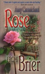 Rose From Brier