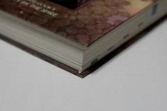Ptolus Monte Cook’s City by the Spire Hardcover Dungeons & Dragons + Extra Book