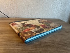 VICTORIAN GARDEN ALBUM 301 by Lewis, Philippa Hardcover Book