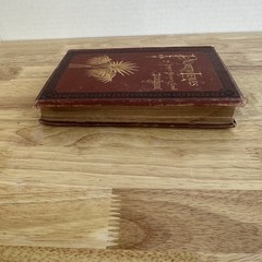 Palmetto-Leaves Harriet Beecher Stowe 1873 Illustrated James R. Osgood Florida