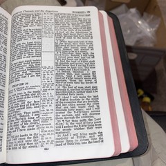 Self-Pronouncing Holy Bible KJV John C. Winston Co King James
