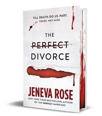 The Perfect Divorce Paperback s959