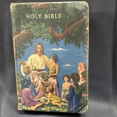 Vintage – Rainbow Bible – Children’s Illustrated KJV – Self-Pronouncing Bible