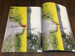 2004 1ST EDITION NOBUYOSHI ARAKI MONTHLY GEKKAN TAMAO SATO JAPANESE PHOTO BOOK