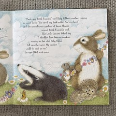Little Lost Unicorn by Lorna Hussey (2009, Hardcover)