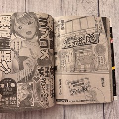 Young Animal No. 11 June 11, 2021 Hikari Kuroki Japanese Manga Gravure Magazine