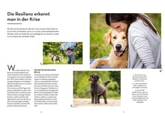 Vanessa Engelst Resilienz bei Hunden: Hunde im Inneren s (Paperback) (UK IMPORT)