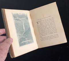 THE CALL OF THE WILD – Jack London – 1903 First (1st) Edition