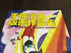 2013 NOT FOR SALE ART WORKS OF TEZUKA OSAMU JAPAN BOOK ART SPACE UNUSED