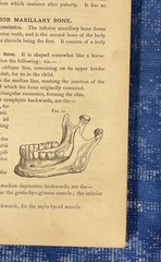 2- Rare Antique Books on Practice of Medicine Quiz-Compends Anatomy & Surgery