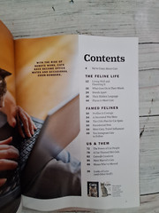Time Special Edition Magazine August 2025 Cats the Feline Life free shipping