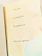 Sophie Piper Hardcover- My Baptism Book – Paraclete Press 11th Printing 2015 NEW