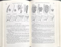 1949 VINTAGE USDA Yearbook of Agriculture “TREES” – 944 Pages Illustrated HC