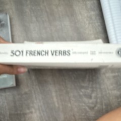 501 French Verbs Fourth Edition by Christopher Kendris Paperback Barron’s French