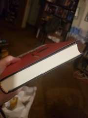 Signed A Bright Ray Of Darkness Ethan Hawke First Edition Hardcover