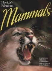 Florida’s Fabulous Mammals – Paperback By Jerry Lee Gingerich – GOOD
