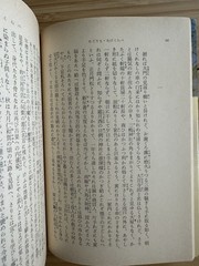 Higuchi Ichiyō (1999, Japanese Paperback) Nigorie Takekurabe : 樋口一葉 にごりえ – たけくらべ