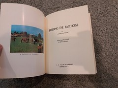 Breeding the Racehorse by F. Tesio J. A. Allen & Co. 1964 Printing