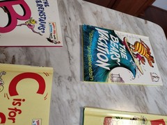 Lot of 10 Berenstain Bears Books Dr Seuss’s Bright & Early Beginner HC~Vacation~