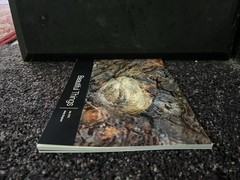 Nature Photography – Beautiful Things by Molly Bingham (50 Pages, Color)