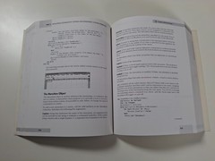 DEVELOPING MICROSOFT EXCEL 5 SOLUTIONS – 1995 Paperback – inc. 3.5in floppy disk
