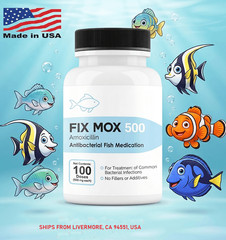 FOR FISH AQUARIUM USE 500 Ships From Usa