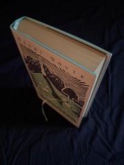 Naomi Novik Spinning Silver & Uprooted 2-Book Box Set Slipcase