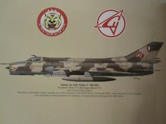 Sukhoi Su22 Fitter by Amaru Tincopa, Color Profiles, 52 pages, 9789871682607