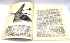 Toreros in Juarez Photos of Bullfighting Illustrations 36 pages Vintage 1960’s