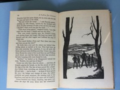 A Cabin for Crusoe by David Severn. Illus. by J. Kiddell-Monroe. Adventure Story