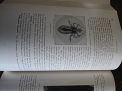 The Practitioners Library of Medicine and Surgery 1936 Dermatology & Syphilology
