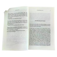 the Mountain Is You: Transforming Self-sabotage into Self-mastery English Books