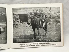 Adorable Antique Children’s Book COUNTRY PLAYMATES Great Color Images 12.25×9.75