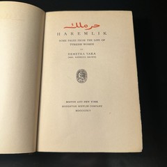 Haremlik, Life Of Turkish Women By Demetra Vaka – Houghton Mifflin 1909 HC