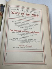 Lot Of 5 Bibles: NASB, New American, NAB, Nave’s Topical, Hurlbut Hardcover