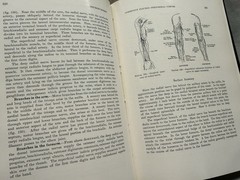 Medical Department: United States Army~ Surgery In World War II: Neurosurgery