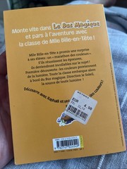 Le Bus Magique Vol 17 Le marathon des couleurs Bayard Poche VTG French Paperback