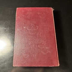 Haremlik, Life Of Turkish Women By Demetra Vaka – Houghton Mifflin 1909 HC