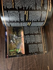 Official Strategy Games Guild Wars Prima Games (No Poster)